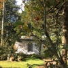Holly Cottage - garden