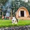Thornfield Camping Cabins - dog friendly